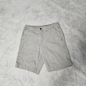 American Eagle 10" Khaki Shorts NE(X)T level Flex 